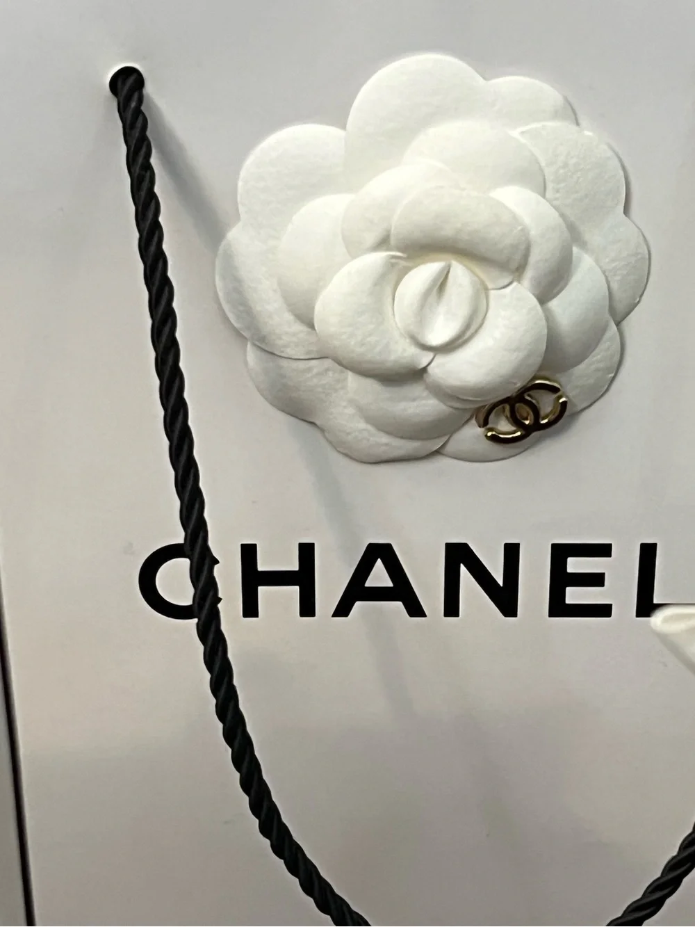 CHANEL White Gift Bag with Black Rope Handles and Camellia Sticker